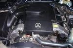 Mercedes E420-S420 1996,1997,1998,1999 Used engine